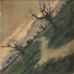 509.  ESCUELA ESPAÑOLA, SIGLO XIXPareja de paisajes