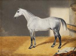 630.  ESCUELA INGLESA, SIGLO XIXCaballo blanco