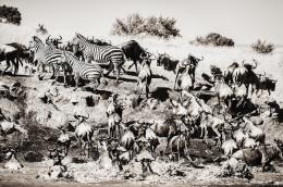 992.  PIO CABANILLAS (Madrid, 1958)Kusonga (On the Move), 2021