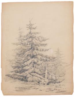 895.  JOSÉ MARÍA VELASCO  (México, 1840-1912)Árboles