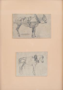 896.  ÁNGEL LIZCANO (Ciudad Real, 1846 - Leganés, 1929)Apuntes de caballos de tiro