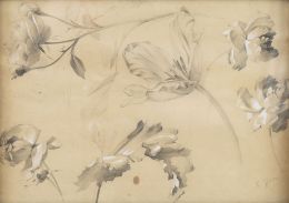 929.  SEBASTIAN  GESSA Y ARIAS (Chiclana de la Frontera, Cádiz, 1840 - San Agustín de Guadalix, 1920)Estudio botánico