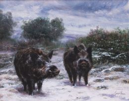 903.  LEÓN FRÍAS, 1946Jabalíes