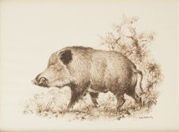 904.  LUIS ALDEHUELA (1920-2011)Pareja de láminas de animales, ciervo y guarro