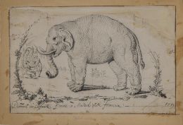 787.  ESCUELA MADRILEÑA, SIGLO XIXEstudio de un elefante1815