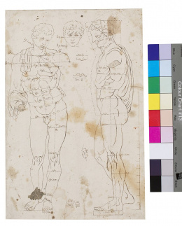 328.  ATRIBUIDO A ANTONIO PALOMINO (1655-1726)Estudio de proporciones del cuerpo humano.