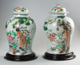 817.  Pareja de tibores con tapa de porcelana esmaltada con un ave del paraiso y una peonia en rosa.Trabajo chino, dinastia Qing, S. XIX