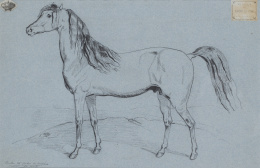 266.  CARLOS MARÍA ISIDRO DE BORBÓN (1788-1855)Estudio de caballo.