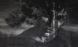 336.  CHEMA LÓPEZ (Albacete, 1969)Consuelo, 2004.