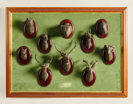 1194.  Panel con cabezas en bronce de animales como Ciervos, un muflón, un jabalí, un lince...Trabajo español, S. XX..