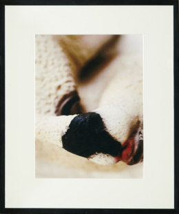 329.  DOUGLAS GORDON (Glasgow, 1966) “Masked portrait of an ettrick shepherd”, 2001.
