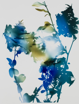 1073.  JAMES WELLING (Hartford, Connecticut, 1951)Flowers 10B, 2006-8.