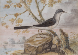 850.  ESCUELA HOLANDESA, SIGLO XIXCríalo europeo y otro pájaro recortados sobre un paisaje.