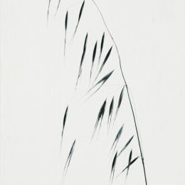 910.  MANEL ARMENGOL (Badalona, 1949)Sin título (Serie Herbarium), 2004.