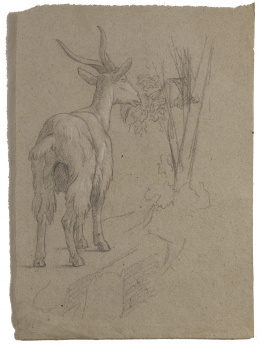934.  FRANCISCO LAMEYER Y BERENGUER (Cádiz, 1825-Madrid 1877)Estudio de una cabra sobre un paisaje.