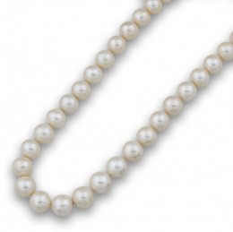 144.  Collar de perlas Australianas redondas de 14 a 12,50 mm de diámetro con cierre oculto.