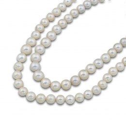 107.  Collar perlas de los mares del sur 14,50-12-50 mm 69 perlas con cierre oculto.