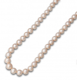 124.  Collar de perlas de los mares del sur con 48 perlas y cierre invisible .