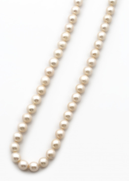 109.  Collar de  perlas de los Mares del Sur redondas, con tamaño entre 12 y 11,5 cm. Desmontable en collar corto y pulsera. 
