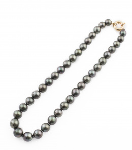 381.  Collar de perlas de Tahití redondas con tamaño graduado entre 13,10 y 10,40 mm