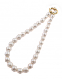 372.  Collar de perlas redondas de los mares del Sur con tamaño graduado entre 14,6 y 11,5 mm