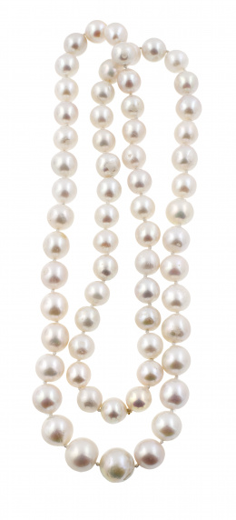 131.  Collar largo de perlas de los Mares del Sur con tamaño graduado entre 15,20 y 12,5 mm