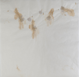 322.  JOSÉ MARÍA SICILIA (Madrid, 1954)Sin título, 2001.