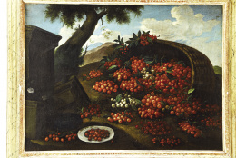 893.  ATRIBUIDO A BARTOLOMEO DEL BIMBO, llamado il Bimbi (Settignano, 1648 - Florencia, 1729)Distintas variedades de cerezas en un paisaje..