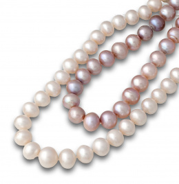 635.  Collar de un hilo perlas mares del sur de tamaño creciente entre 10-15 mm, con cierre en oro de 18k.