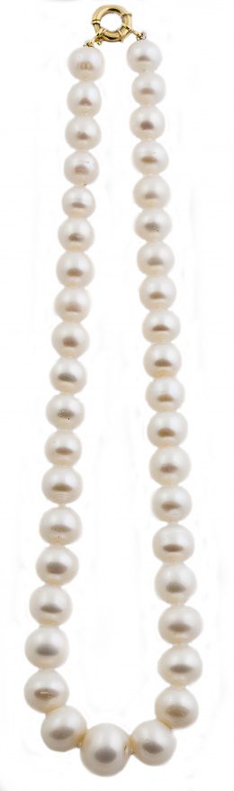 634.  Collar de un hilo de perlas de los mares del sur rosadas de 12 mm aprox ,con cierre en oro de 18K.