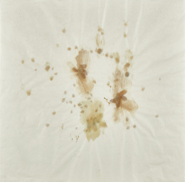 455.  JOSÉ MARÍA SICILIA (Madrid, 1954)En Flor, 2000