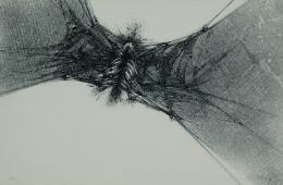 423.  MANUEL RIVERA (Granada, 1927 - Madrid, 1995)Araña alimaña