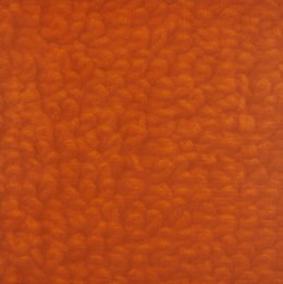 270.  OLIVER JOHNSON (Luton, 1972)“Colour composition nº22 (Orange Mat)”, 2002.