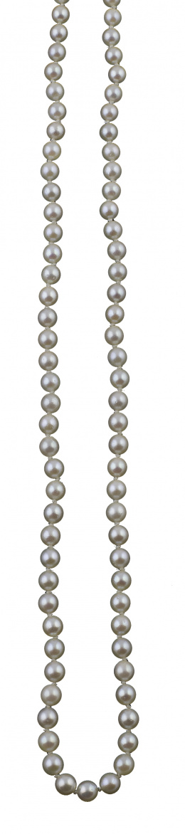 388.  Collar de perlas cultivadas de 4 mm con cierra de perla y oro de 18K