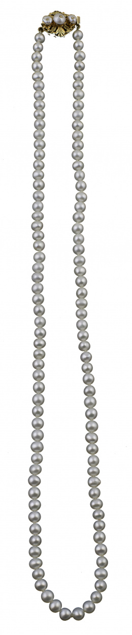 419.  Collar de perlas cultivadas de 4 mm con cierre en oro de 18K