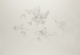 891.  ANTONIO LÓPEZ (Tomelloso, 1936)“Suite Olympic Centennial”, 1992.