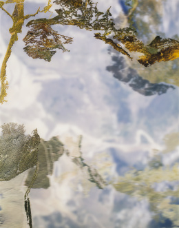 822.  DARÍO URZAY (Bilbao, 1958)Serie Nest Painting, 2006.