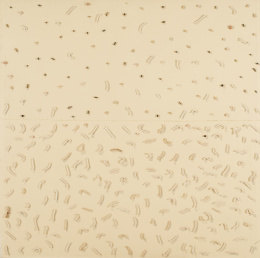 959.  CARMEN CALVO (Valencia, 1950)Serie Escrituras, 1984.