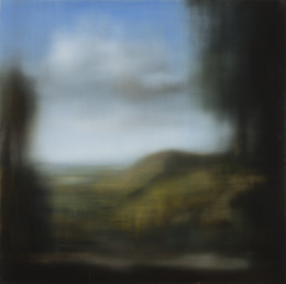 966.  VÍCTOR PIMSTEIN (Mexico DF, 1962)Montaña, 2008.