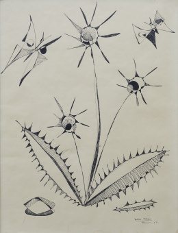240.  JULIO ALVARFlores silvestres, 1957.