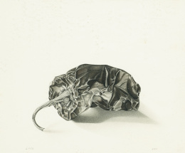 929.  GERARDO PITA (Madrid, 1950)Pimiento seco.