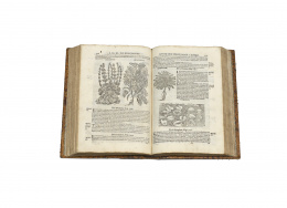 544.  ANDRÉS DE LAGUNA“Pedacio Dioscorides anazarbeo, acerca de la materia medicinal, y de los venenos mortiferos”.