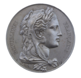 767.  Lote de ocho medallas francesas en bronce