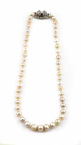 660.  Collar de pp s.XX con perlas de 9 a 6 mm alternas con pequeñas perlas de 3 mm.