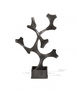 308.  DIEGO CANOGAR (Madrid, 1966)Serie Algas, 2003.