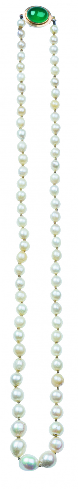 679.  Collar de un hilo de perlas cultivadas con cierre de cabuchón de crisoprasa e montura de oro amarillo de 18K
