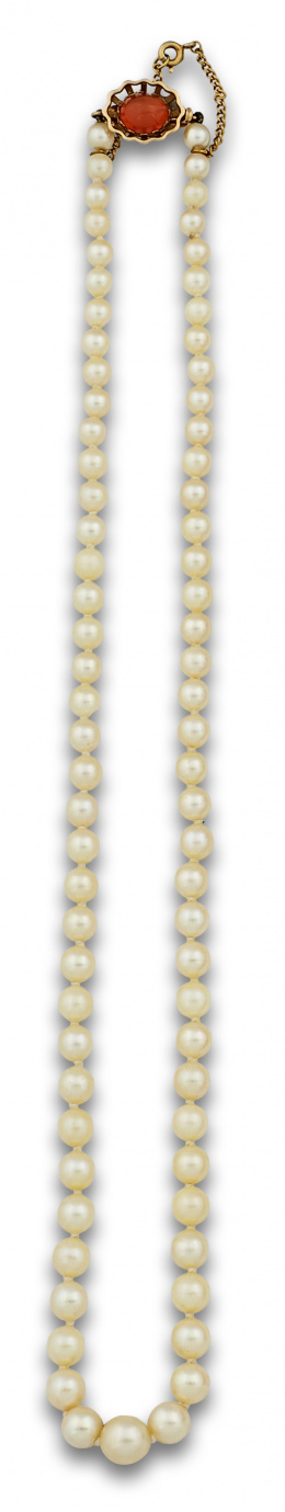 79.  Collar de un hilo de perlas cultivadas de tamaño creciente.