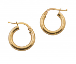 176.  Pendientes criolla de perfil tubular