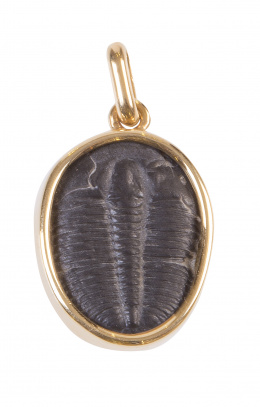 194.  Colgante oval con trilobites montado en maco liso con base en oro