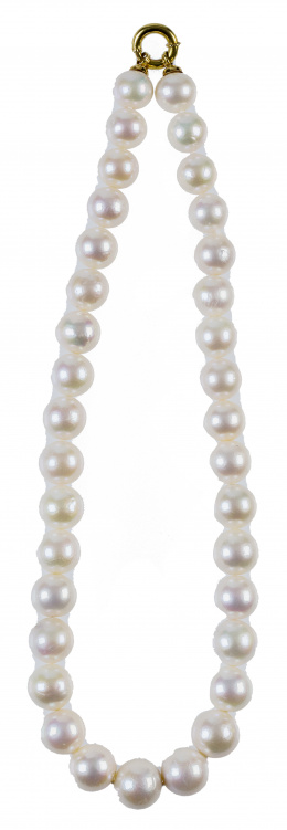 203.  Collar de perlas de los mares del sur con cierre de timón en oro amarillo de 18K